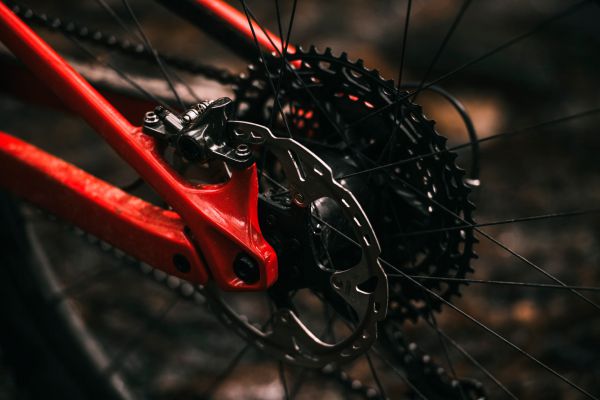 Rocky Mountain Element 2022