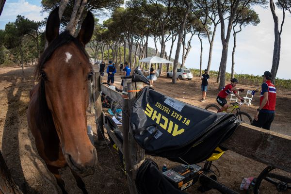 Mistrovství světa v maratonu - Elba 2021