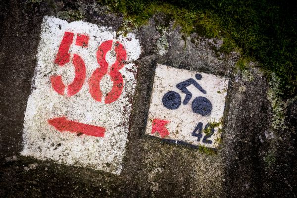 Mistrovství ČR XCM - Harrachov 2021