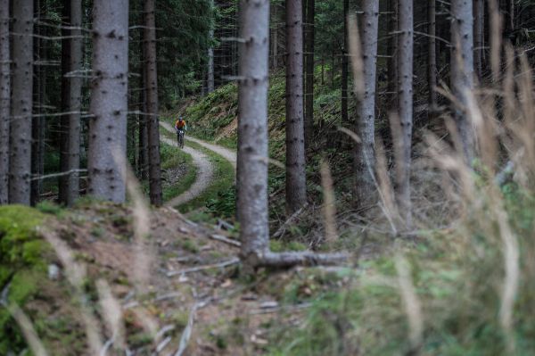 Panaracer Gravel Blinduro