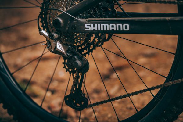 Rocky Mountain Element 2022