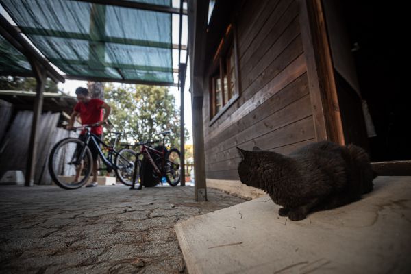 Mistrovství světa v maratonu - Elba 2021