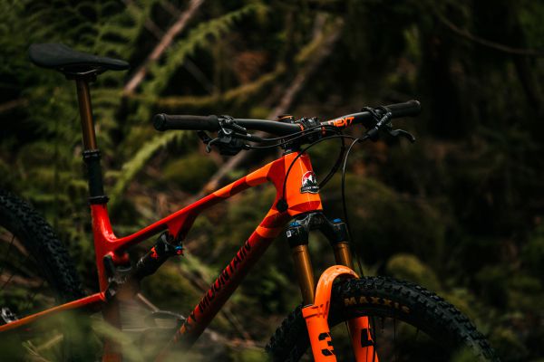 Rocky Mountain Element 2022