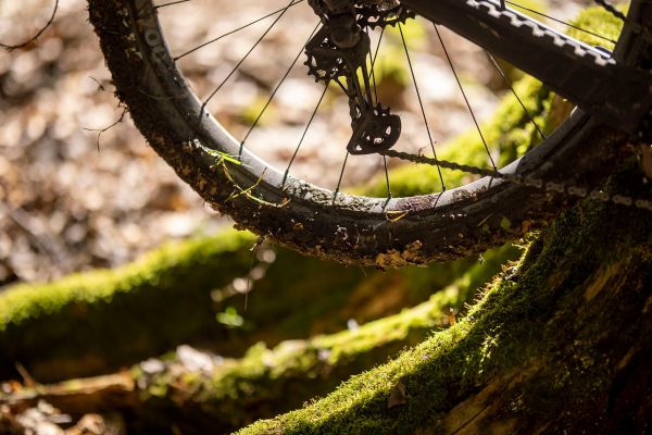 Canyon Spectral 29 CF 8