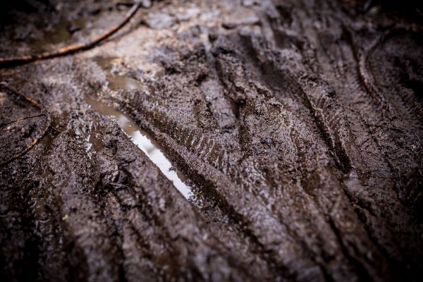 Mistrovství ČR XCM - Harrachov 2021