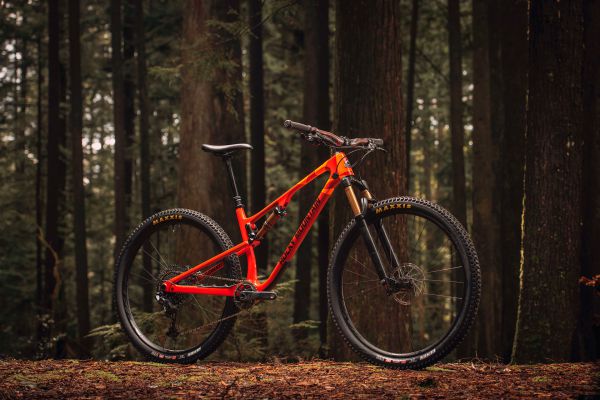 Rocky Mountain Element 2022