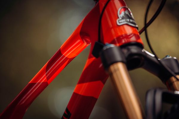 Rocky Mountain Element 2022