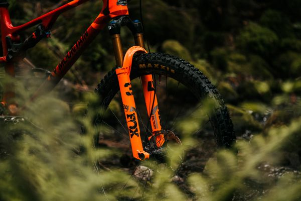 Rocky Mountain Element 2022