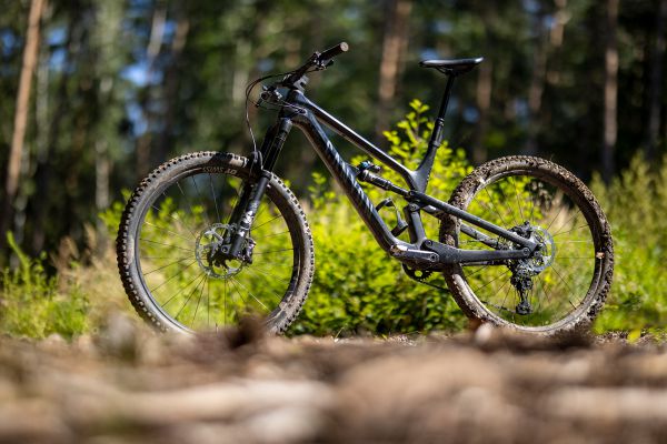 Canyon Spectral 29 CF 8