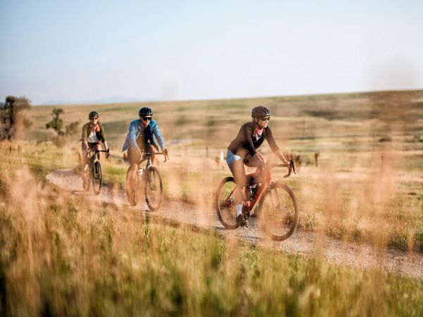 Trek Checkpoint 2022