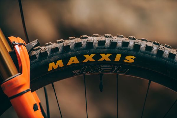 Rocky Mountain Element 2022