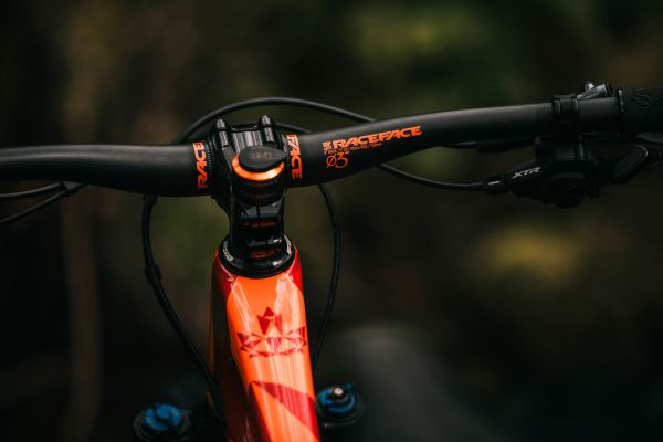 Rocky Mountain Element 2022