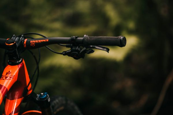 Rocky Mountain Element 2022