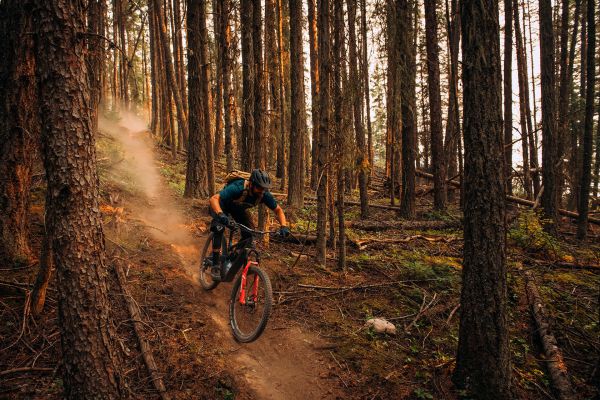 Rocky Mountain Instinct Powerplay 2022