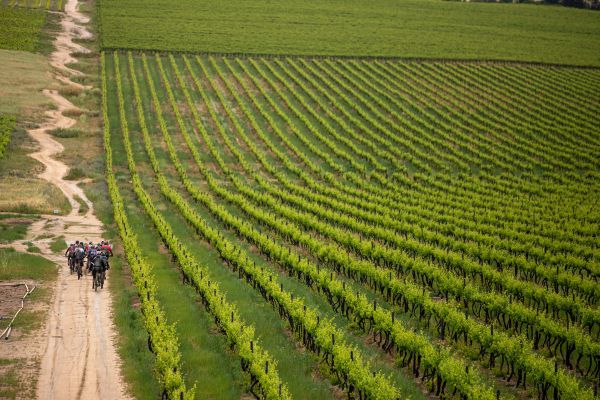 Cape Epic 2021 - 6. etapa