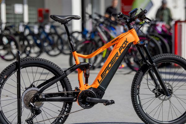 Leader Fox Arran 2022