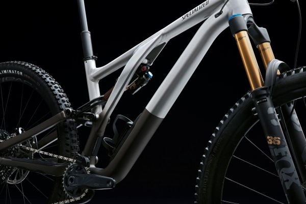 Specialized Stumpjumper EVO Alloy