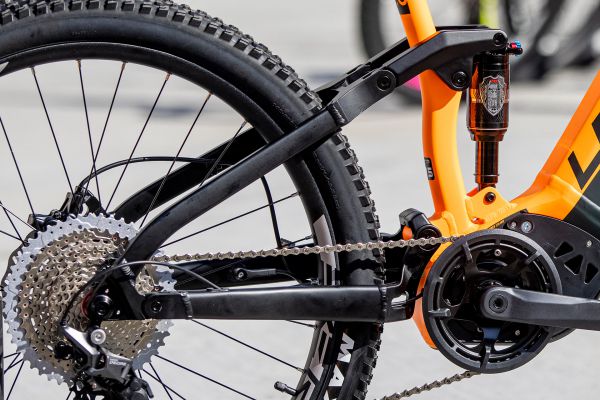 Leader Fox Arran 2022