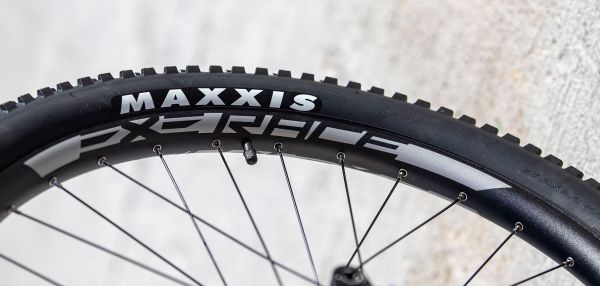 Leader Fox Arran 2022