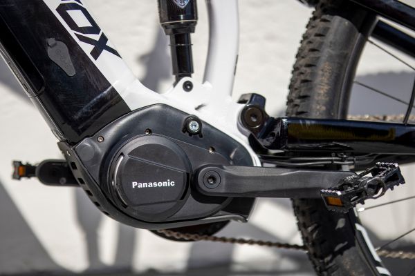 Leader Fox Arran 2022