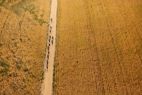 Cape Epic 2021 - 3. etapa