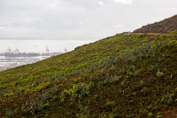 Cape Epic 2021 - prolog