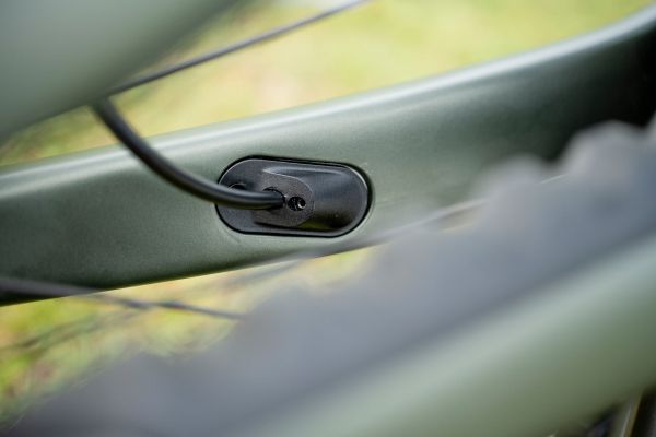 Canyon Spectral 2022