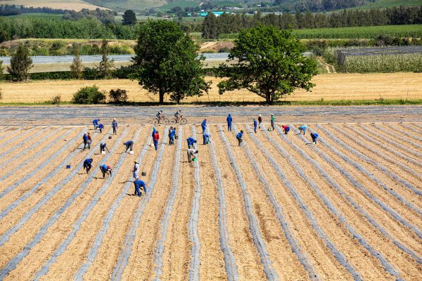 Cape Epic 2021 - 3. etapa