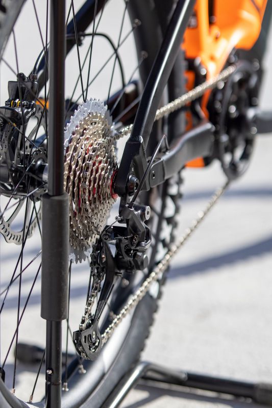 Leader Fox Arran 2022