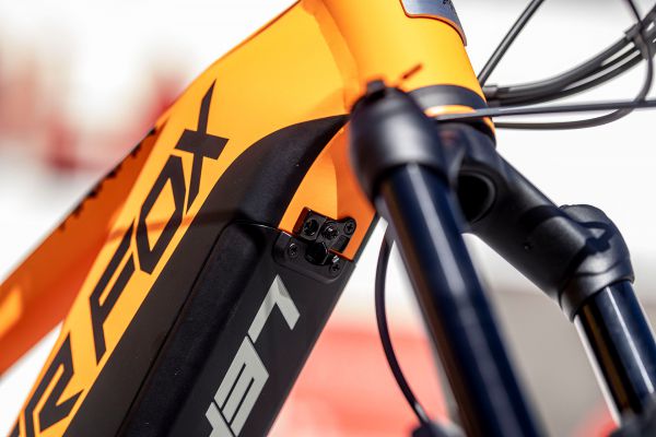 Leader Fox Arran 2022