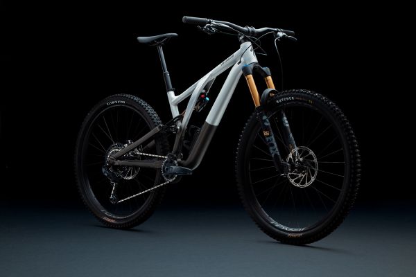 Specialized Stumpjumper EVO Alloy