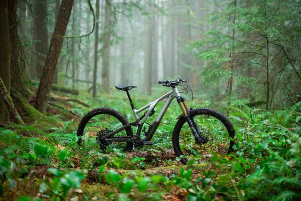 Specialized Stumpjumper EVO Alloy