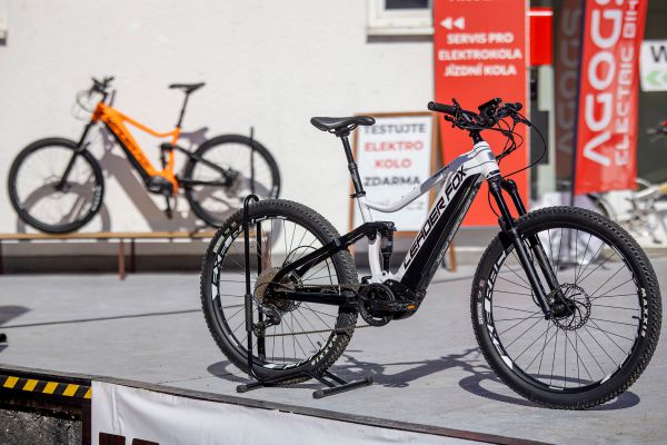 Leader Fox Arran 2022