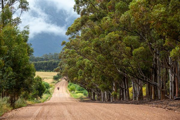 Cape Epic 2021 - 6. etapa