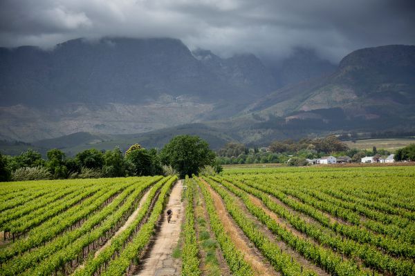 Cape Epic 2021 - 6. etapa