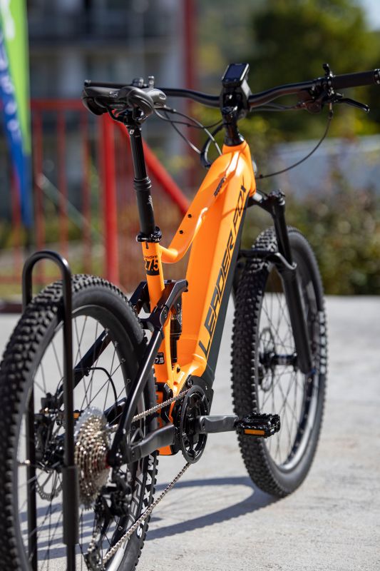 Leader Fox Arran 2022