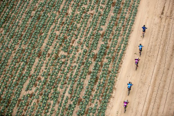 Cape Epic 2021 - 5. etapa