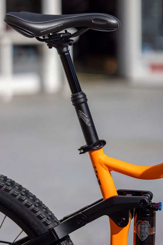 Leader Fox Arran 2022