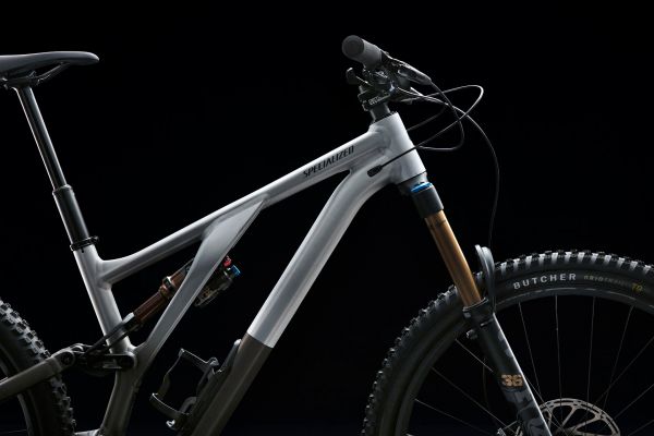 Specialized Stumpjumper EVO Alloy