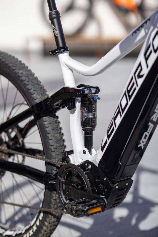 Leader Fox Arran 2022