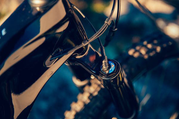 Giant Trance 29 2022