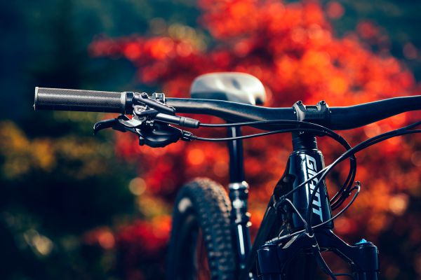 Giant Trance 29 2022