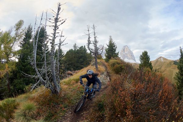 Giant Trance X Advanced E+