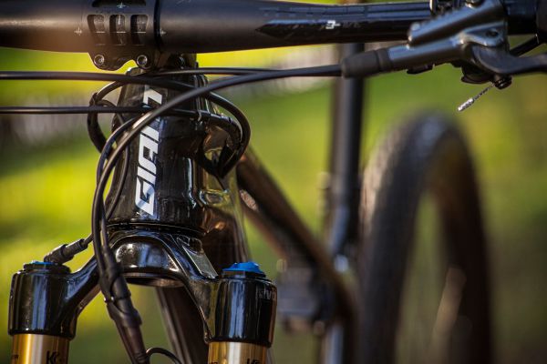 Giant Anthem Advanced Pro 29 2022