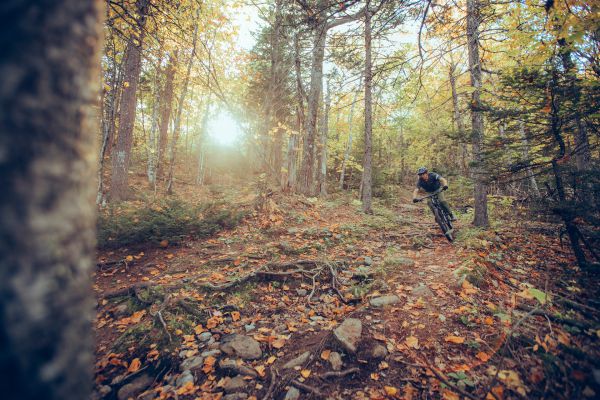 Giant Trance 29 2022