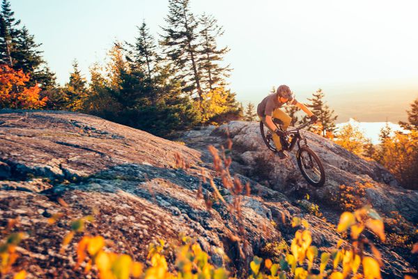 Giant Trance 29 2022