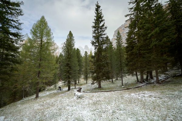 Giant Trance X Advanced E+