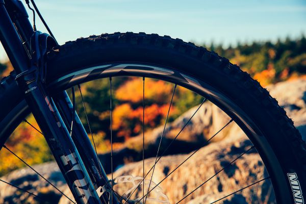 Giant Trance 29 2022