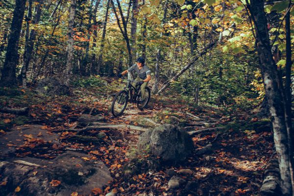 Giant Trance 29 2022