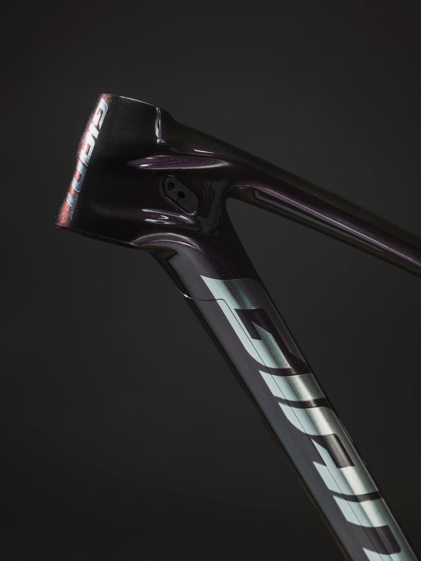 Giant Anthem Advanced Pro 29 2022